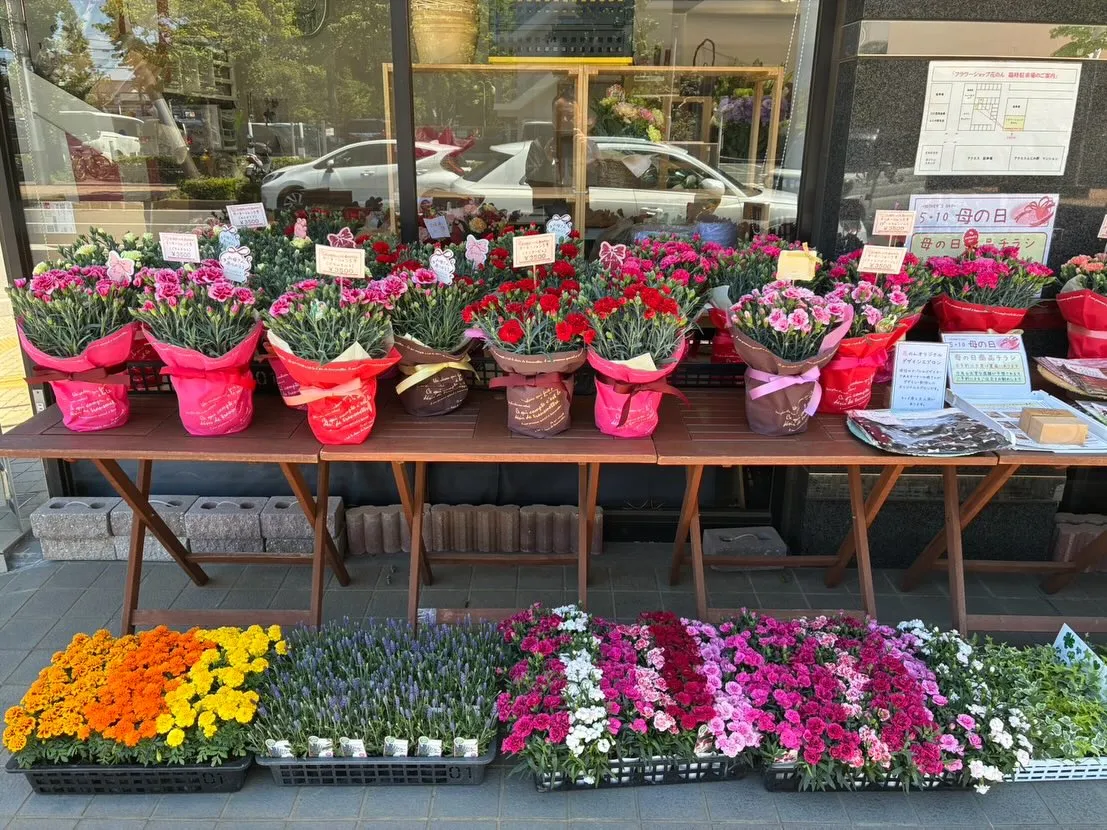 【母の日👩🏻】店頭の準備が早くも整いました!✨