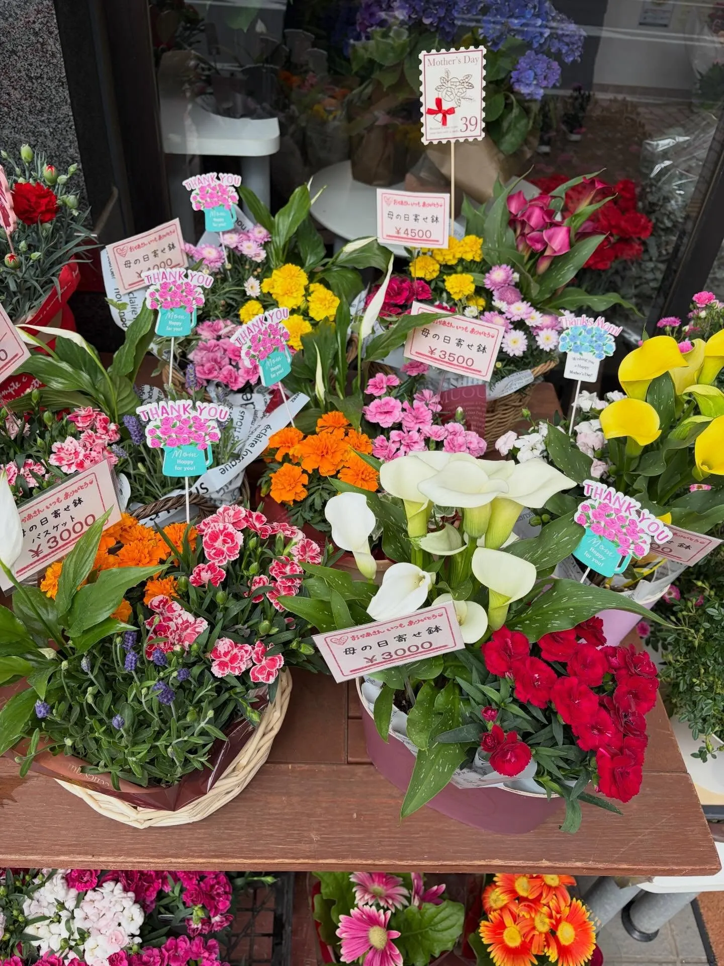【母の日🎁】人気の寄せ鉢、ぞくぞく完成です!✨